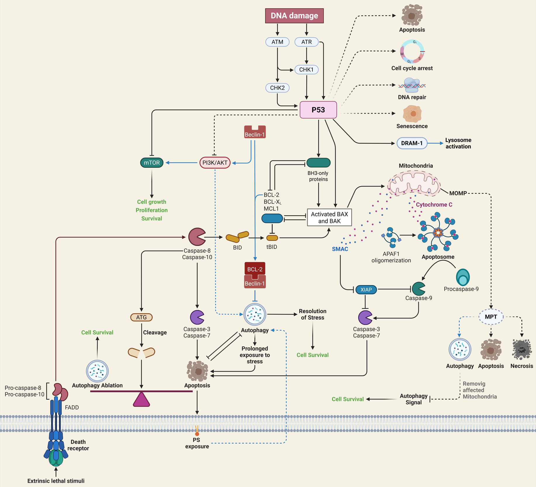 A diagram of a computer AI-generated content may be incorrect.