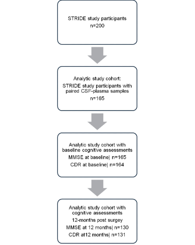 Supplemental Figure 1