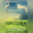 Surprise Journey: A Spiritual Memoir