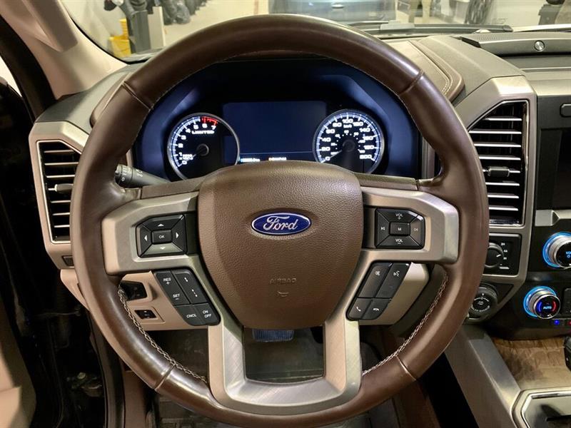 Ford F-150 17
