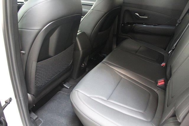 Hyundai Santa Cruz 10