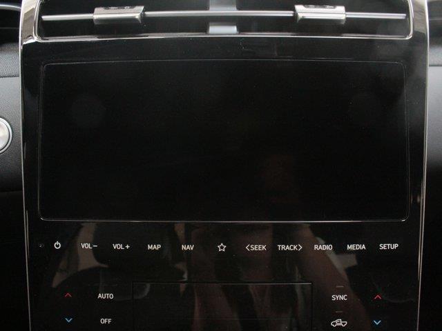 Hyundai Santa Cruz 17