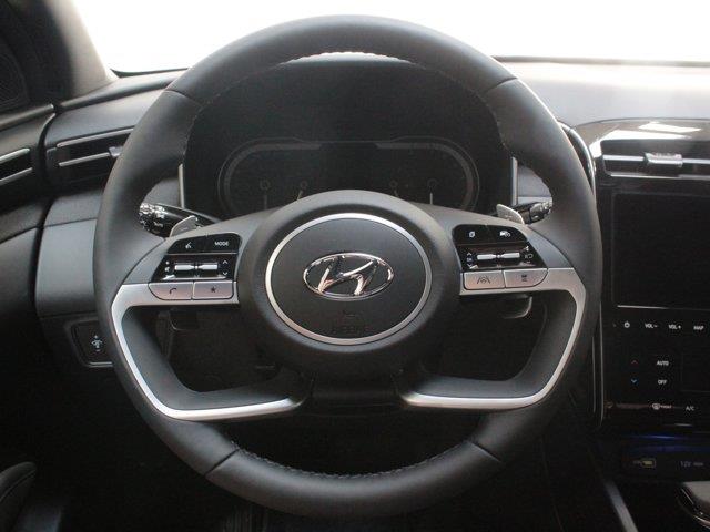 Hyundai Santa Cruz 30