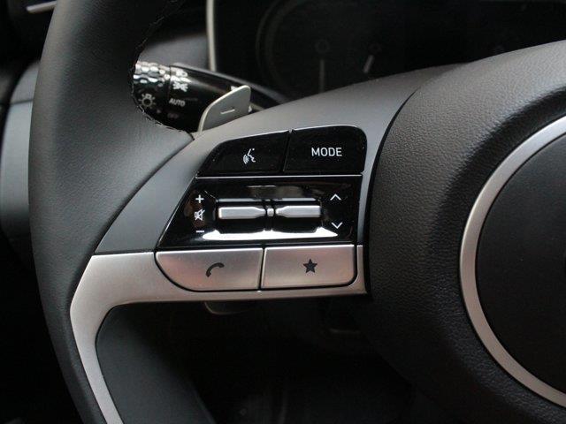 Hyundai Santa Cruz 31