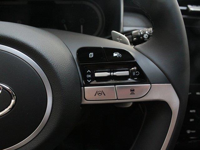 Hyundai Santa Cruz 32