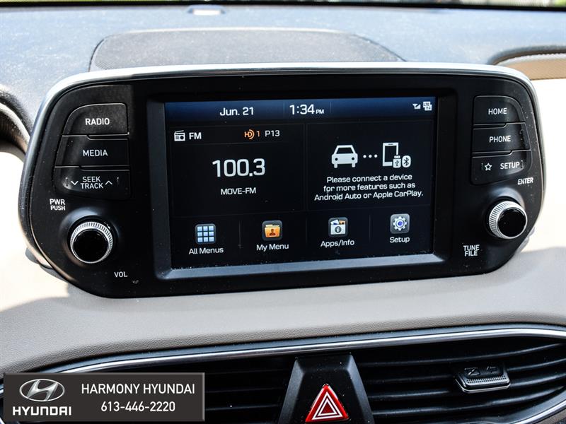 Hyundai Santa Fe 19