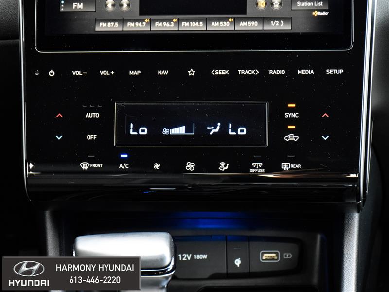 Hyundai Santa Cruz 18