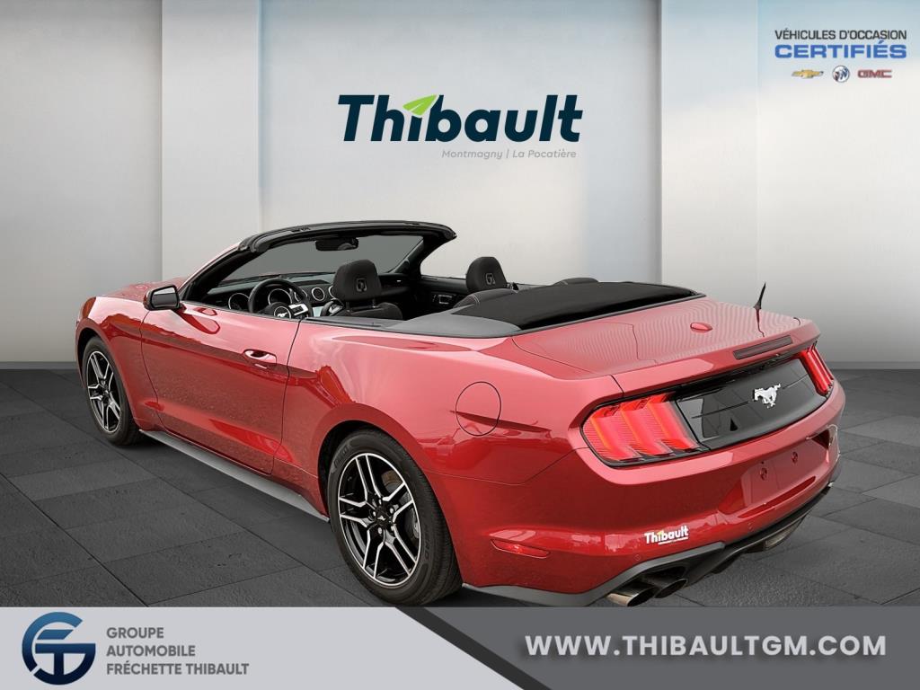 Ford Mustang 10