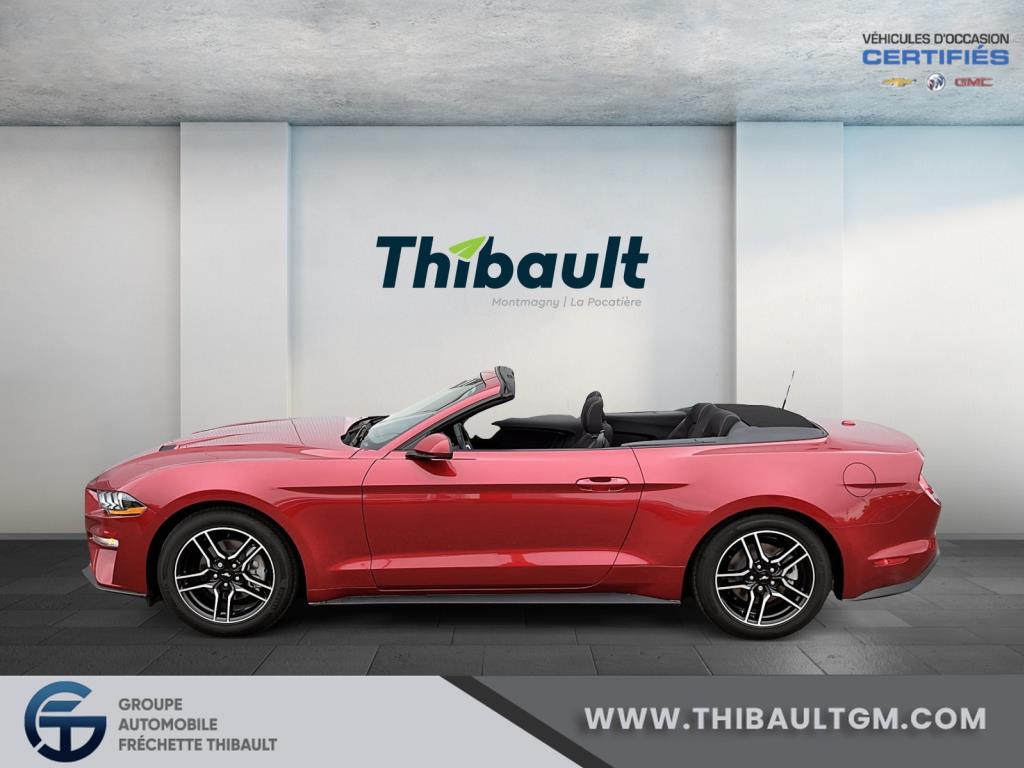 Ford Mustang 11
