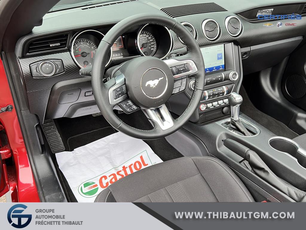 Ford Mustang 13