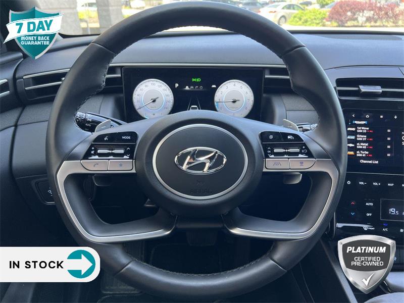 Hyundai Santa Cruz 10