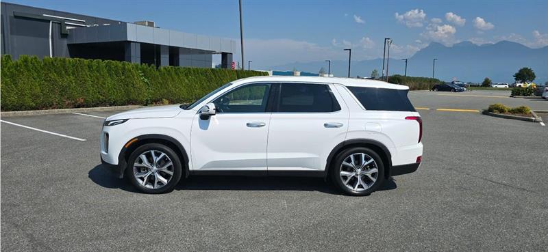 hyundai Palisade 2020 - 3