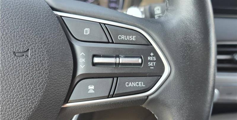 hyundai Palisade 2020 - 19