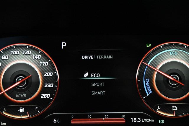 hyundai Santa Fe 2021 - 12