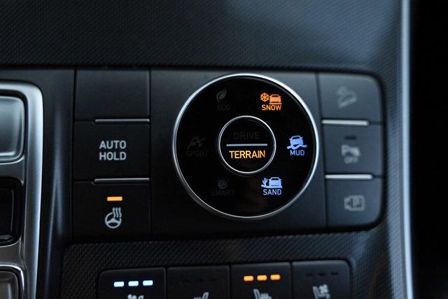 hyundai Santa Fe 2021 - 17