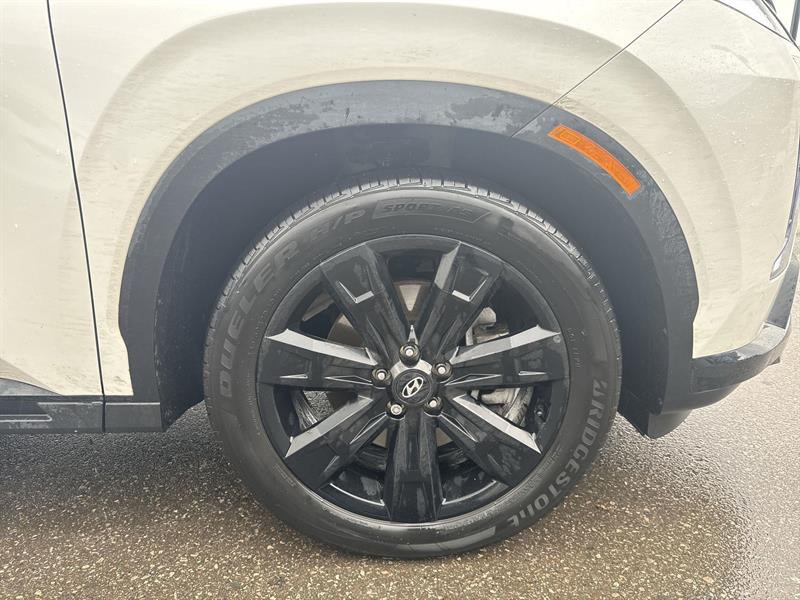 hyundai Palisade 2023 - 12