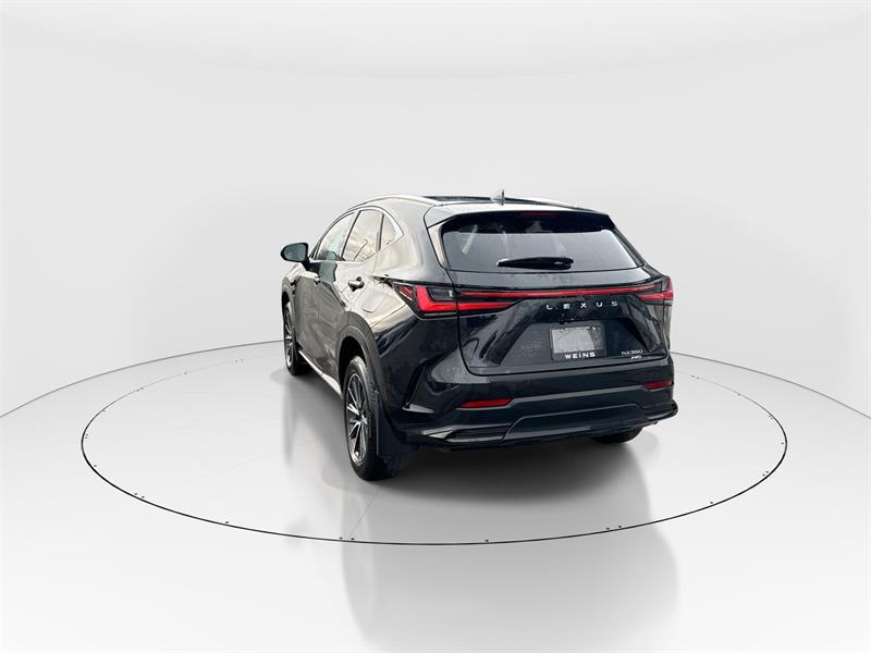 lexus NX 350 2024 - 7