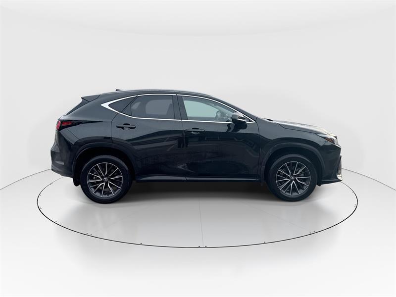 lexus NX 350 2024 - 10