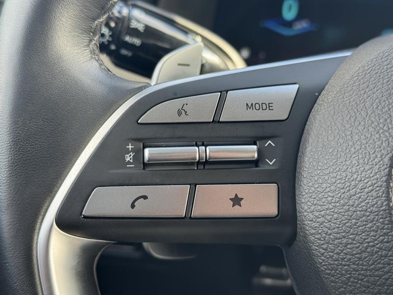 hyundai Palisade 2023 - 16