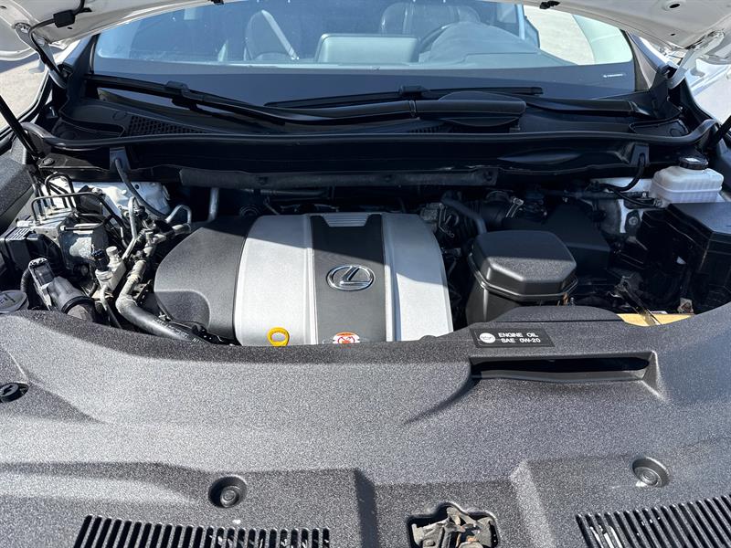 lexus RX 350 2017 - 14