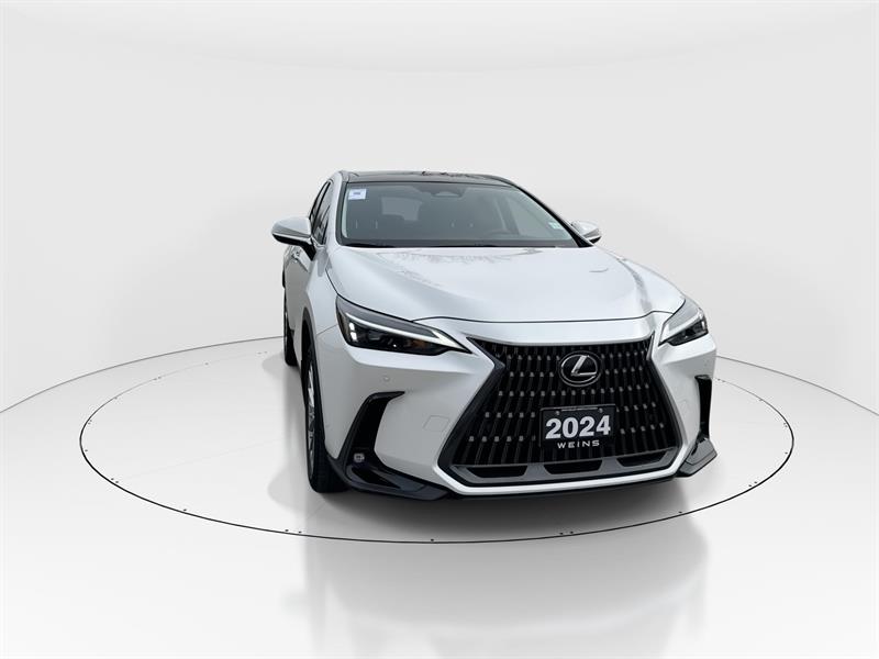 lexus NX 350 2024 - 2