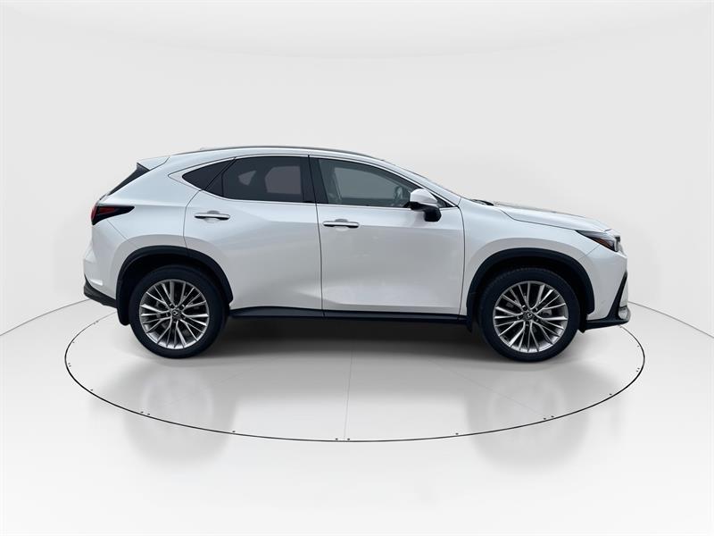 lexus NX 350 2024 - 9