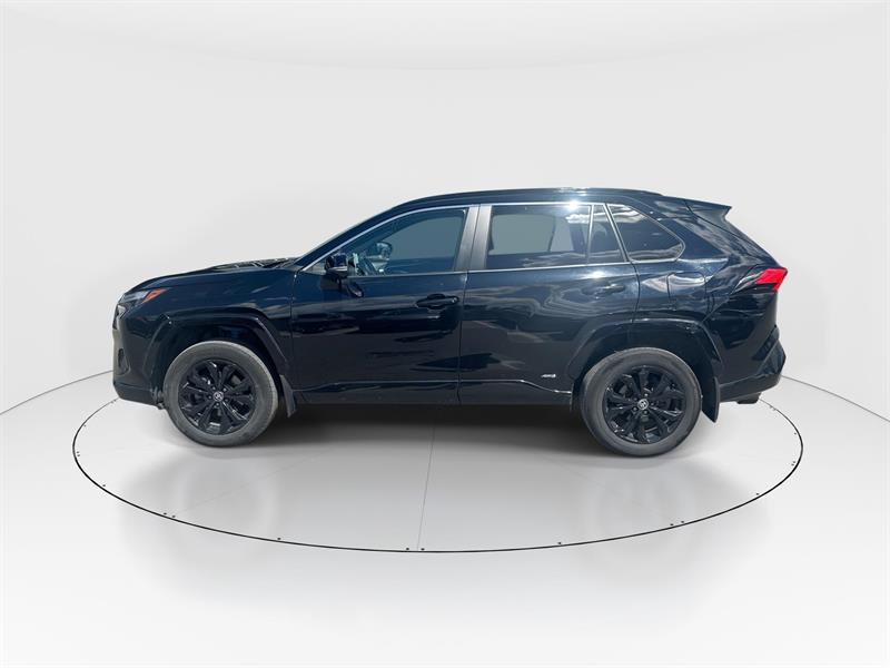 toyota RAV4 hybride 2024 - 5