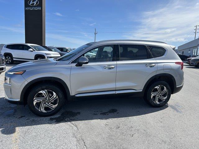hyundai Santa Fe 2021 - 8