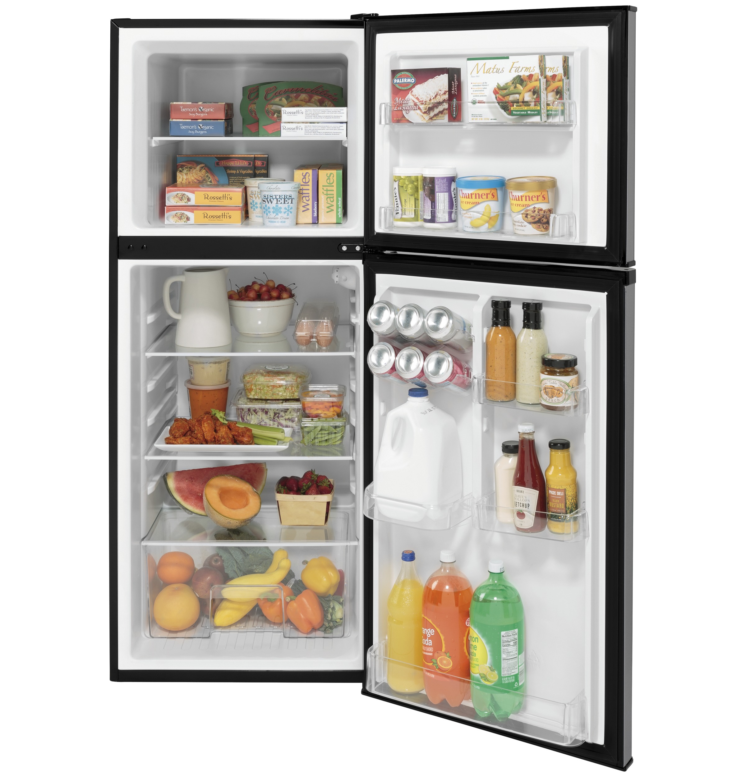 GE GPV10FSNSB GE® 9.8 Cu. Ft. 12 Volt DC Power TopFreezer