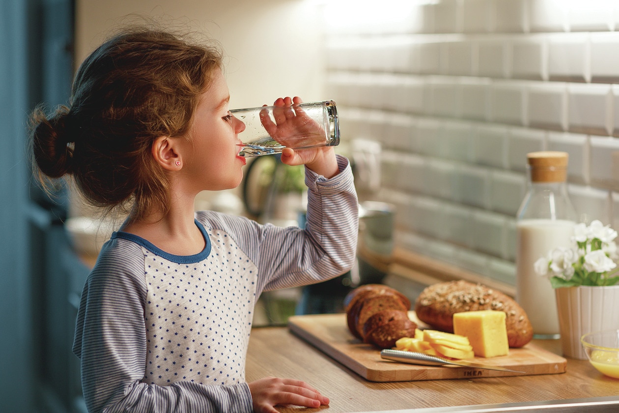 Model: WFCB | Frigidaire PureSource Plus® Water and Ice Refrigerator Filter