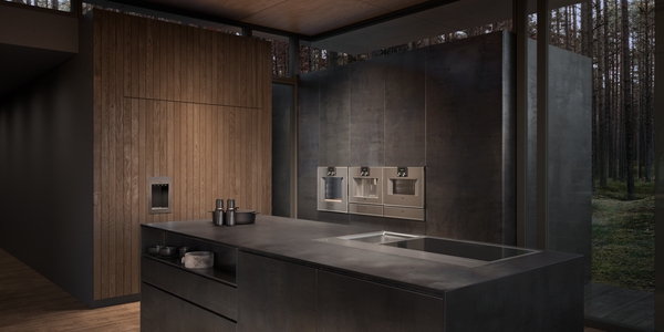 Model: AL400791 | Gaggenau Downdraft Ventilation