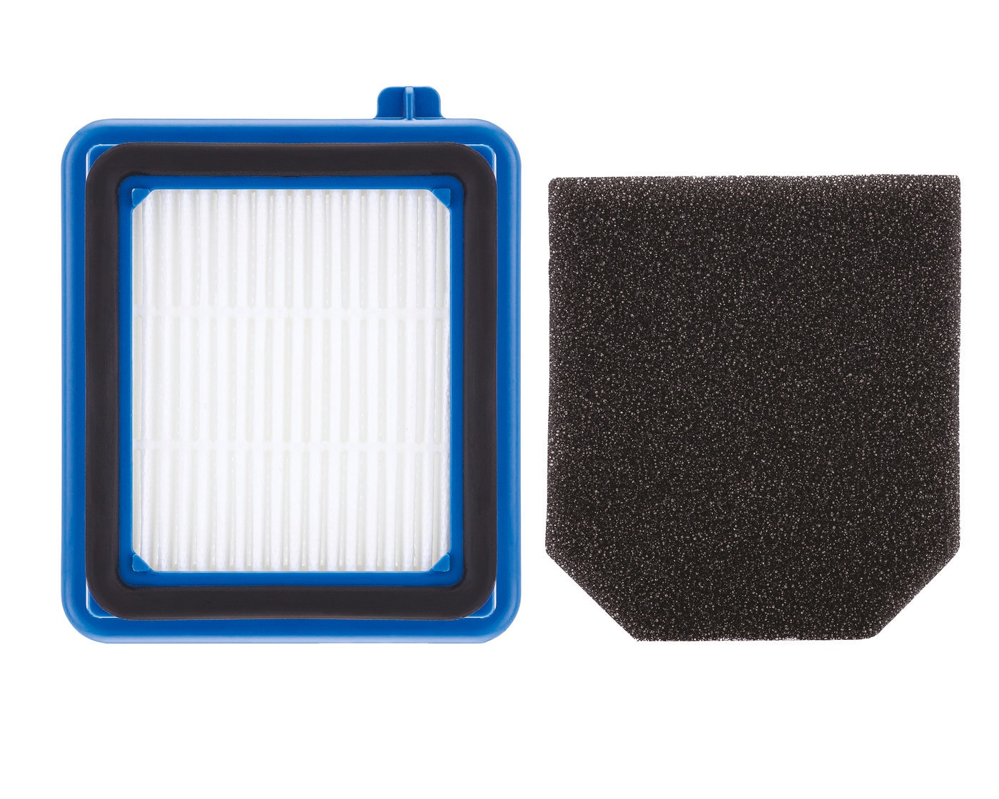 Model: ELPAVAF45 | Electrolux PureAdvantage® WellQ7™  Vacuum Filter Set   