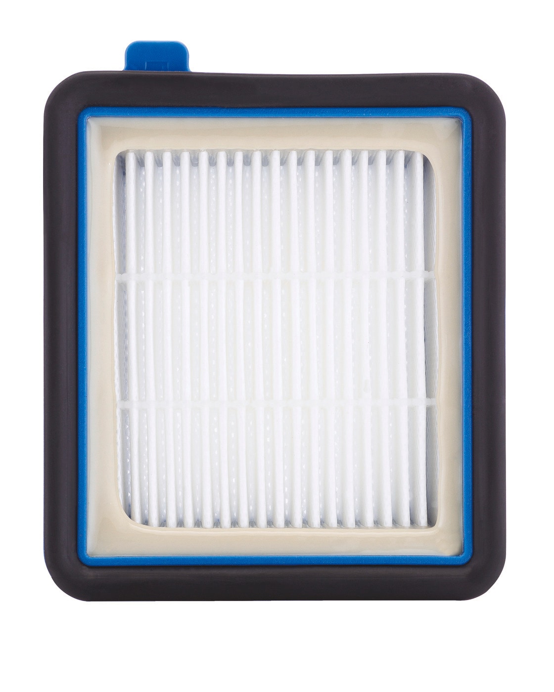 Model: ELPAVAF45 | Electrolux PureAdvantage® WellQ7™  Vacuum Filter Set   