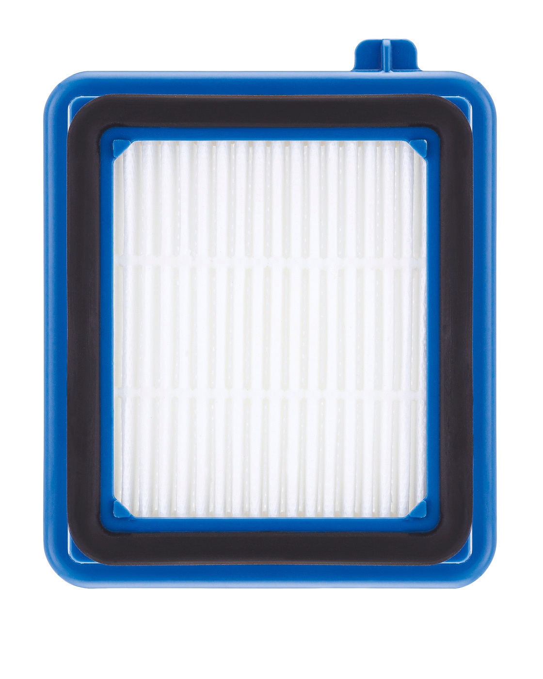 Model: ELPAVAF45 | Electrolux PureAdvantage® WellQ7™  Vacuum Filter Set   
