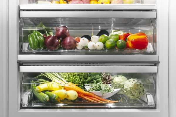 Model: T24IR905SP | Thermador Freedom®, Built-in Refrigerator Column, 24'', Panel Ready