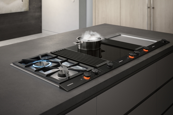 Model: VI230620 | Gaggenau 200 series, Vario induction, 11"