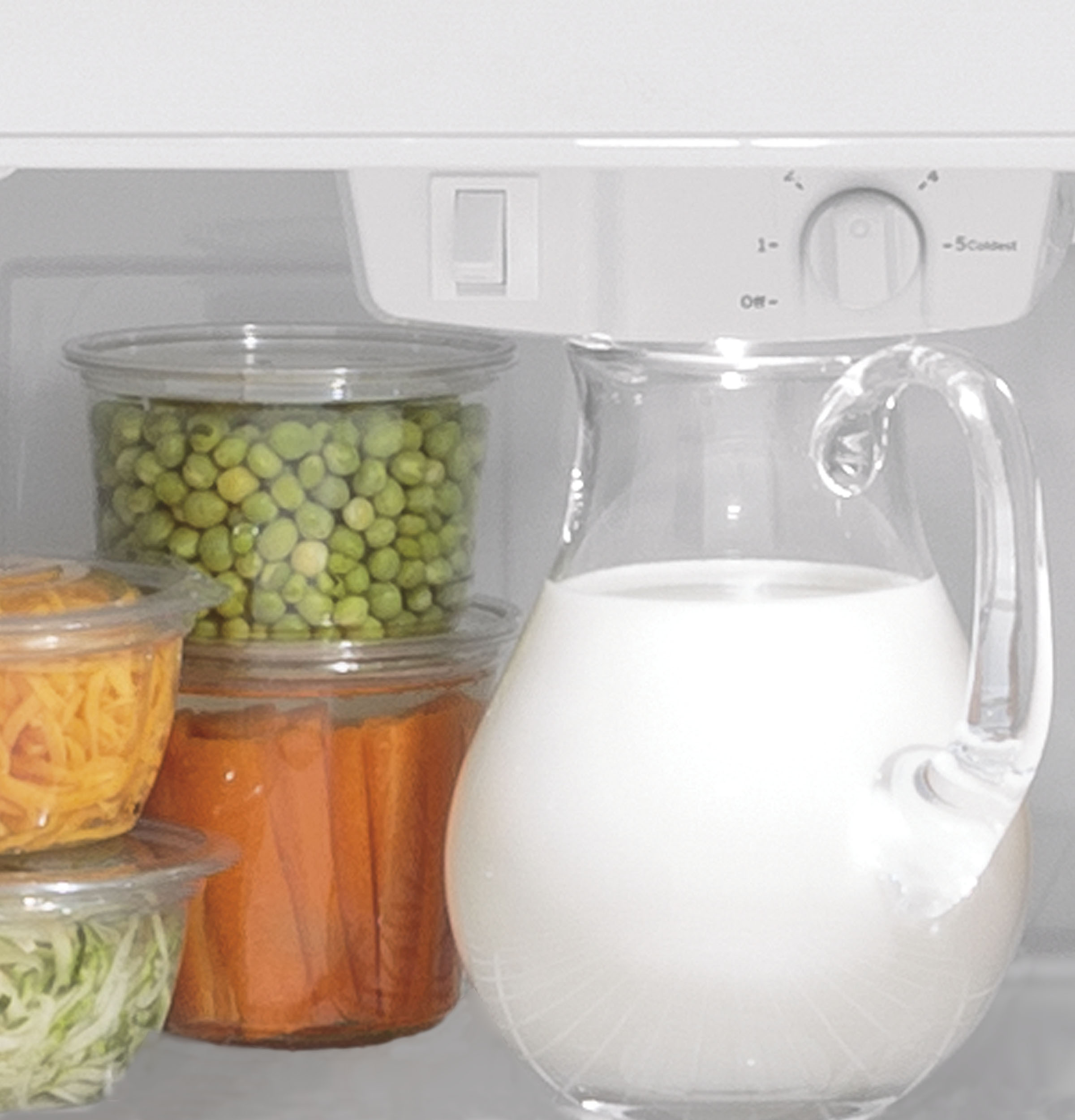 Model: GTS19KGNRBB | GE GE 19.2 Cu. Ft. Garage Ready Top-Freezer Refrigerator