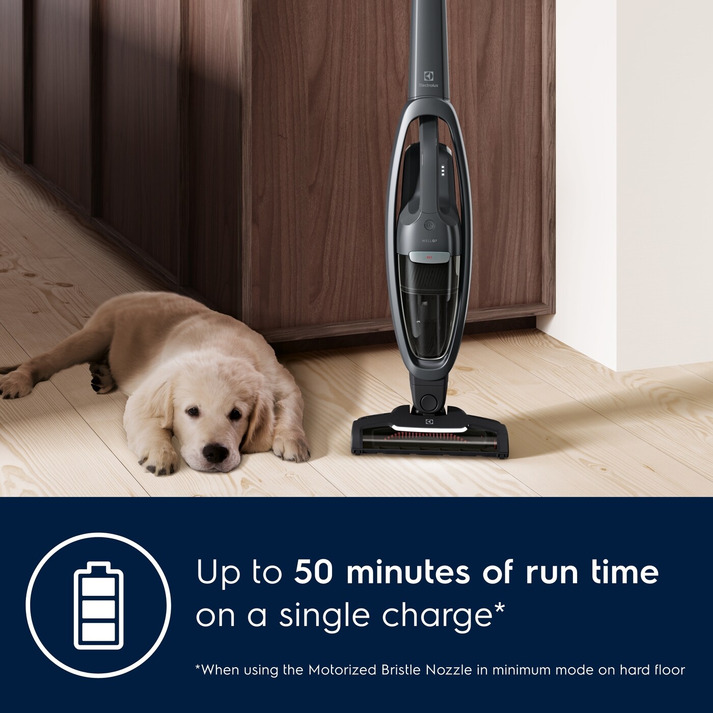 Model: EHVS35P2AT | Electrolux WellQ7™ Pet Vacuum 