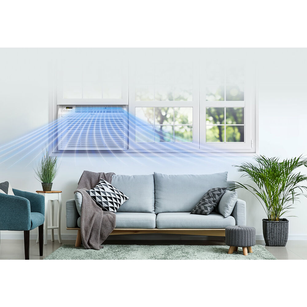 Model: LW6017R | LG 6,000 BTU Window Air Conditioner
