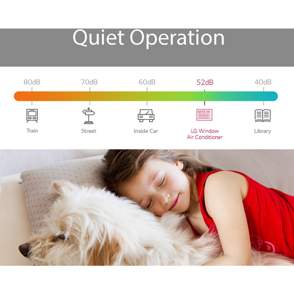 Model: LW6017R | LG 6,000 BTU Window Air Conditioner