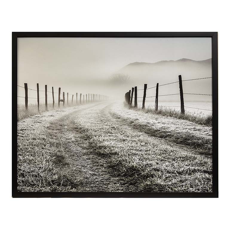 Bassett Frosty Pasture