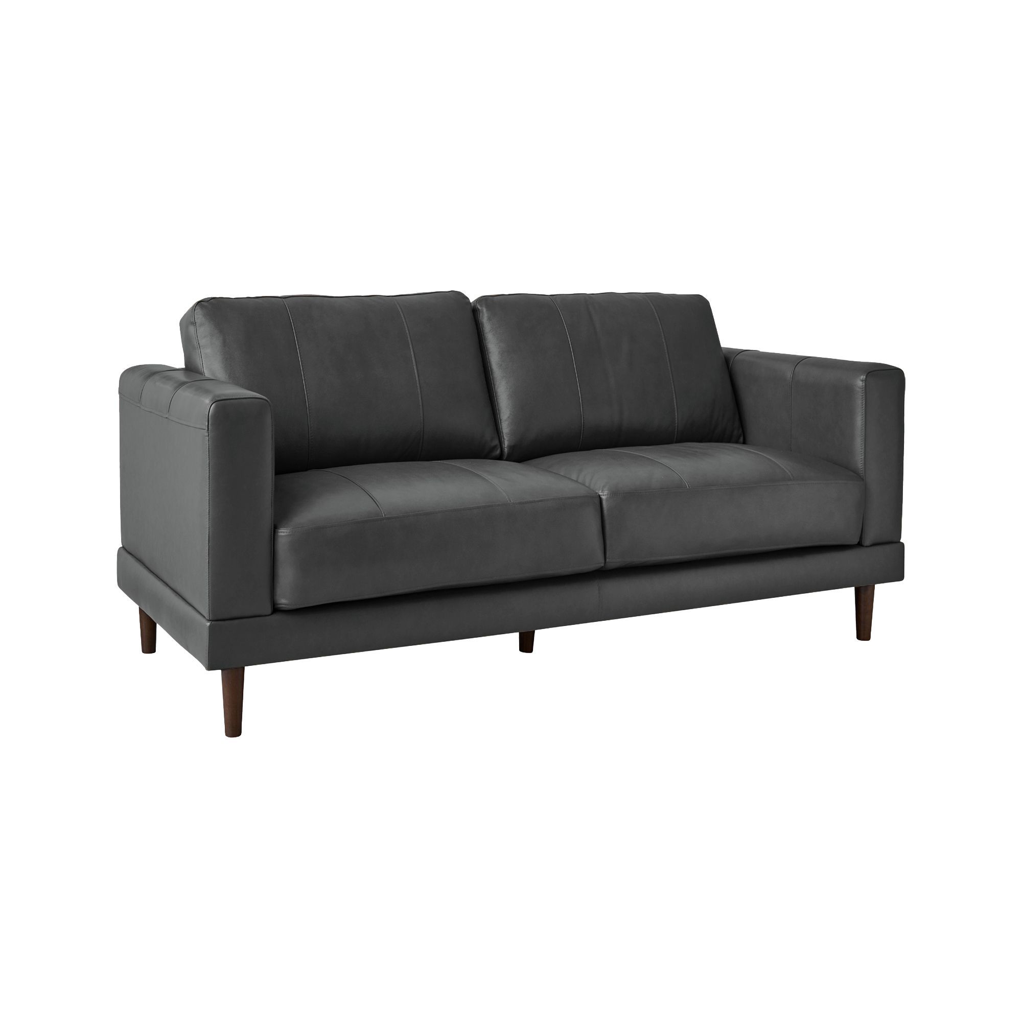 Elements Hampton Loveseat in Fiero Charcoal (Top Grain / PVC)