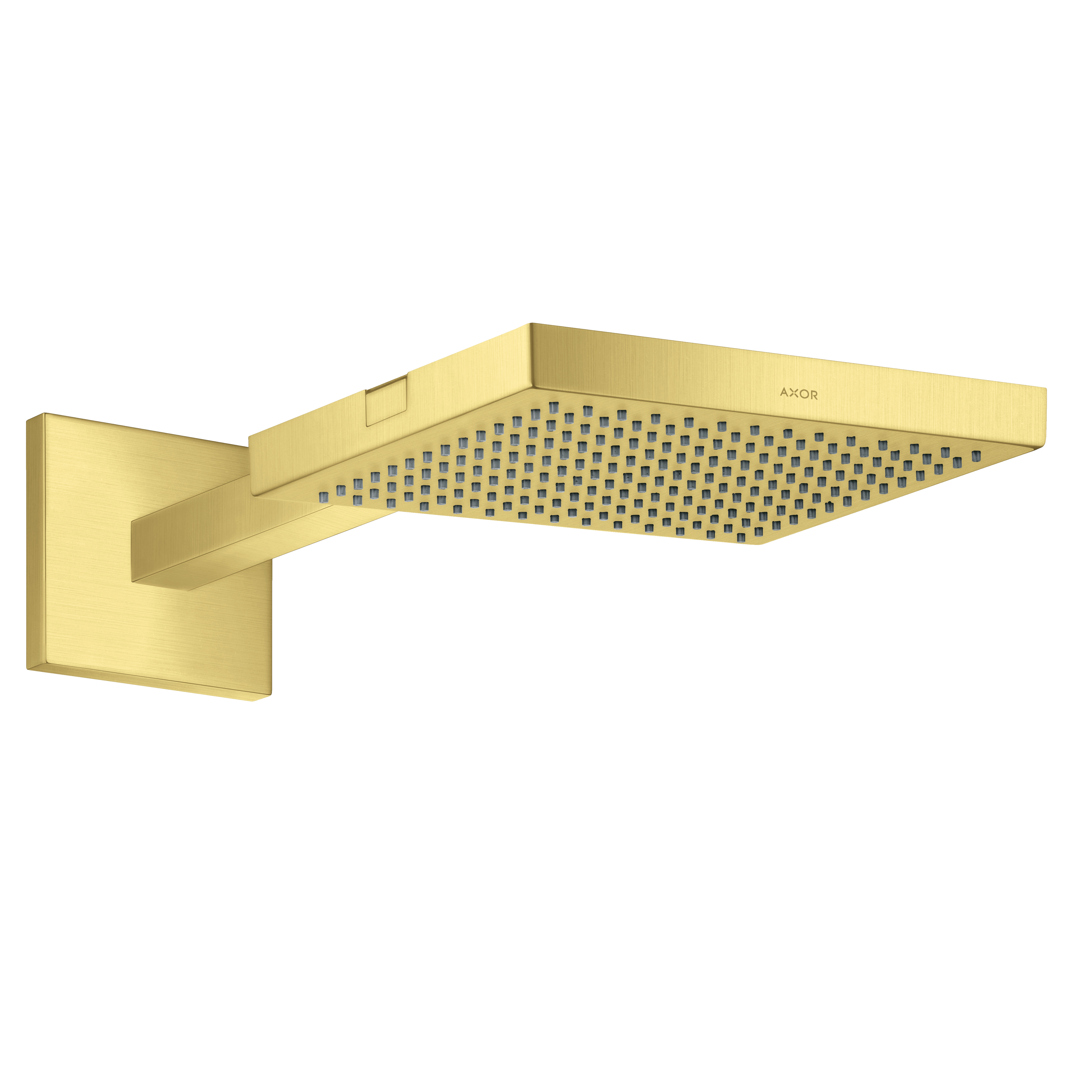 Axor ShowerSolutions Showerhead 240 1-Jet with Showerarm Trim, 2.5 GPM in Brushed Gold Optic