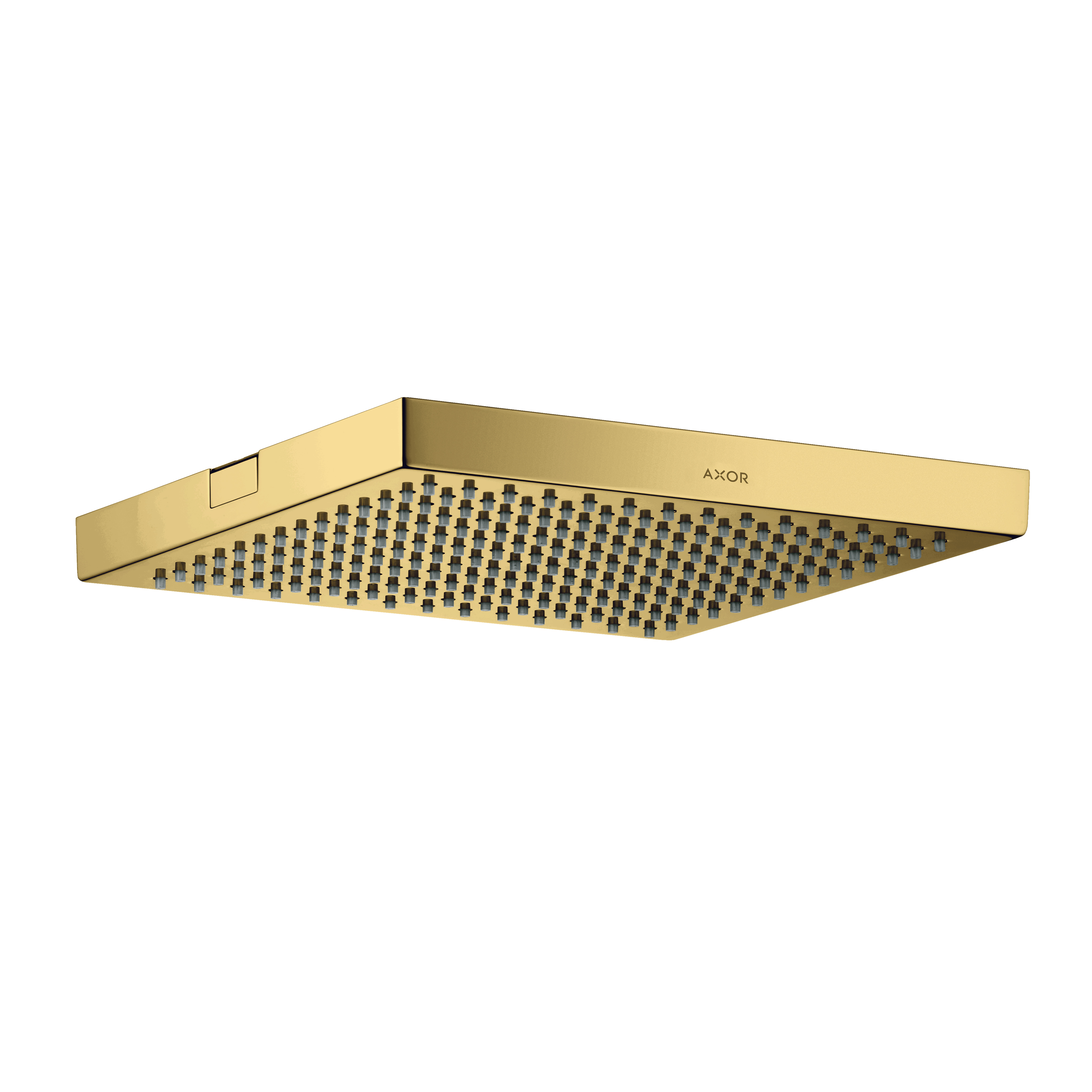 Axor ShowerSolutions Showerhead 240 1-Jet, 2.5 GPM in Polished Gold Optic
