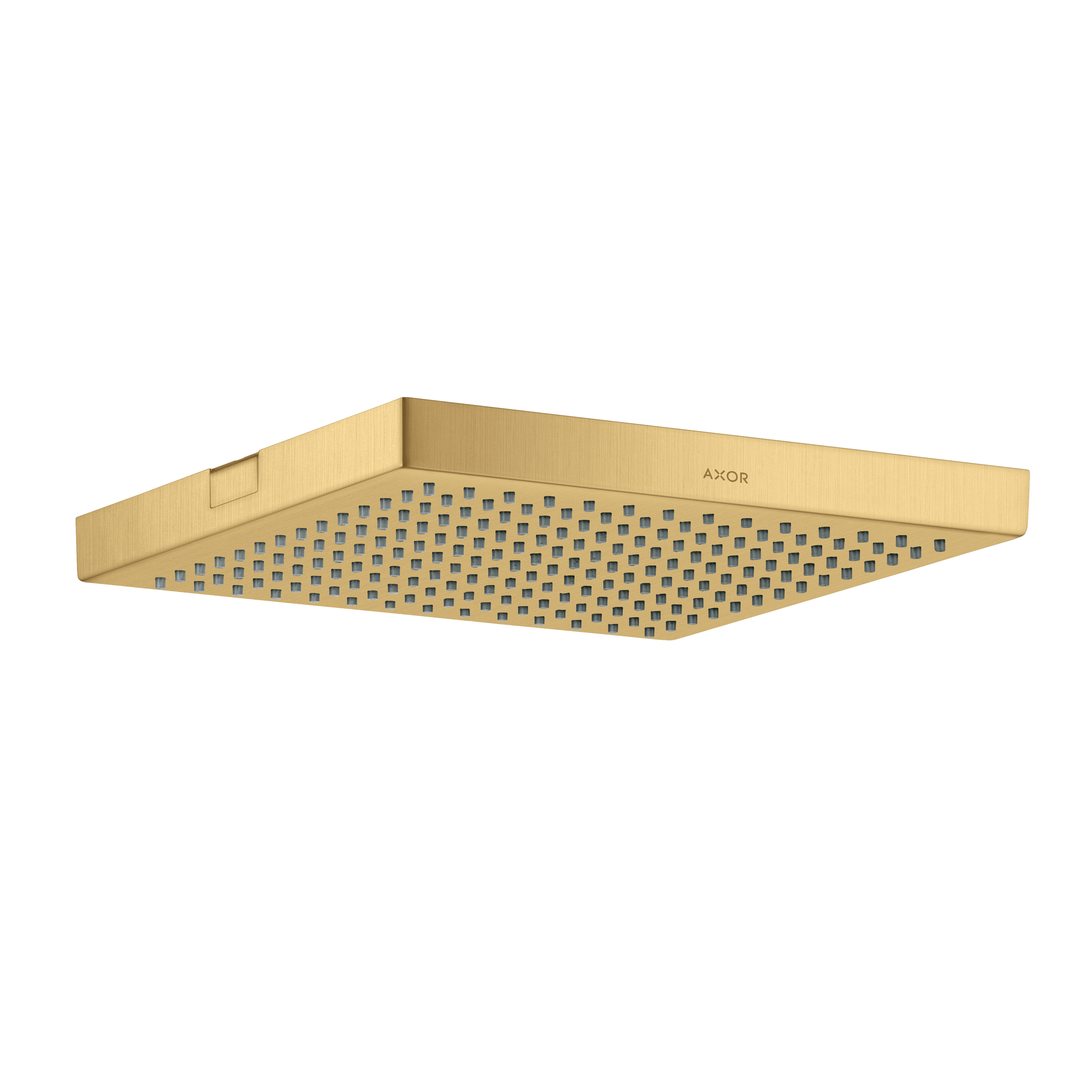 Axor ShowerSolutions Showerhead 240 1-Jet, 2.5 GPM in Brushed Gold Optic