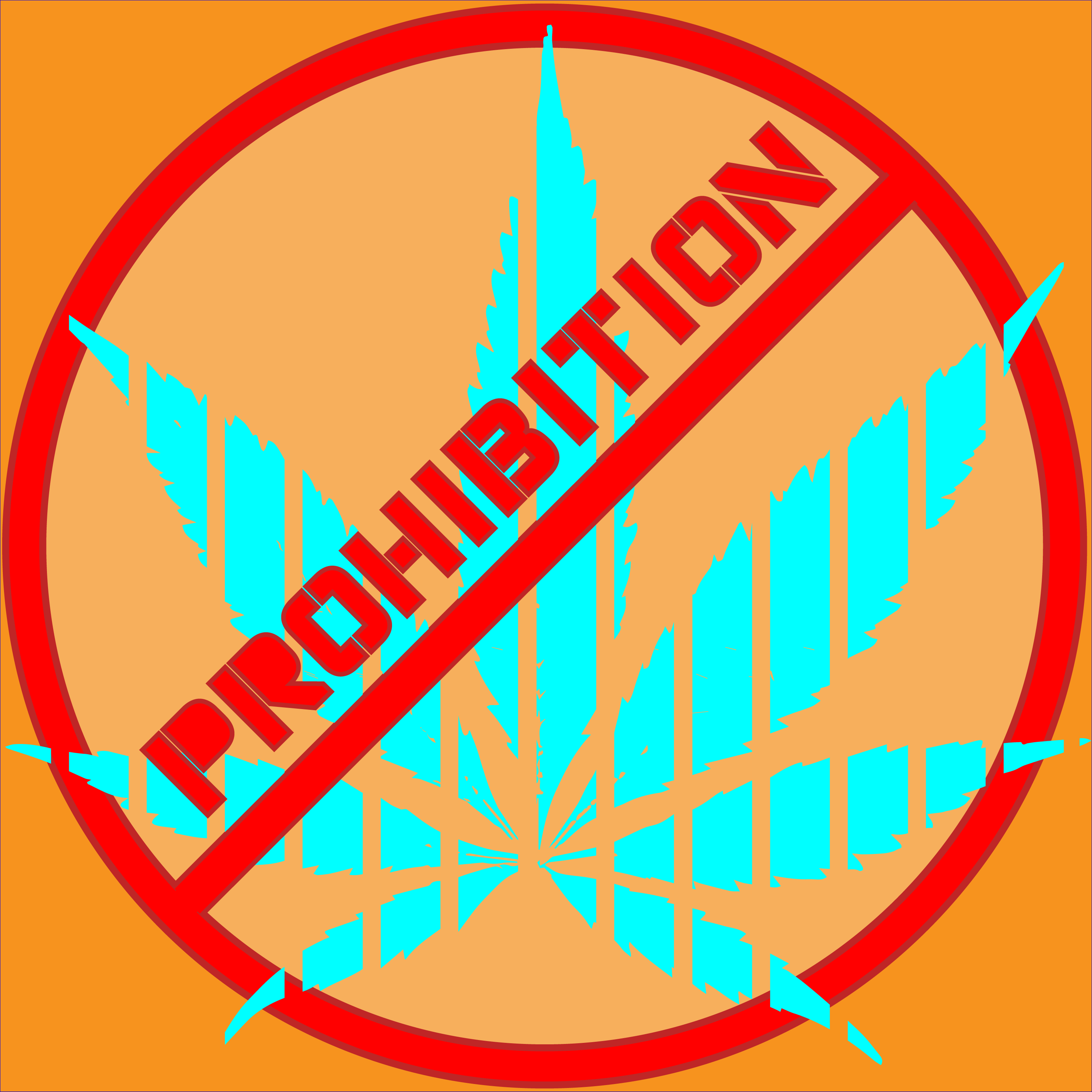 Prohibition
