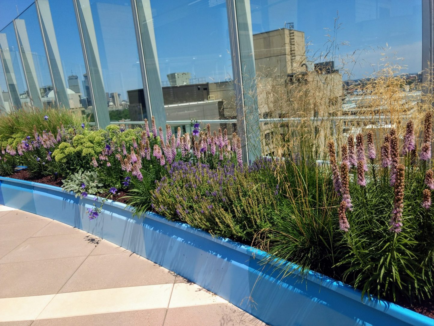 Boston Children's Hospital Rooftop… American Galvanizers Association