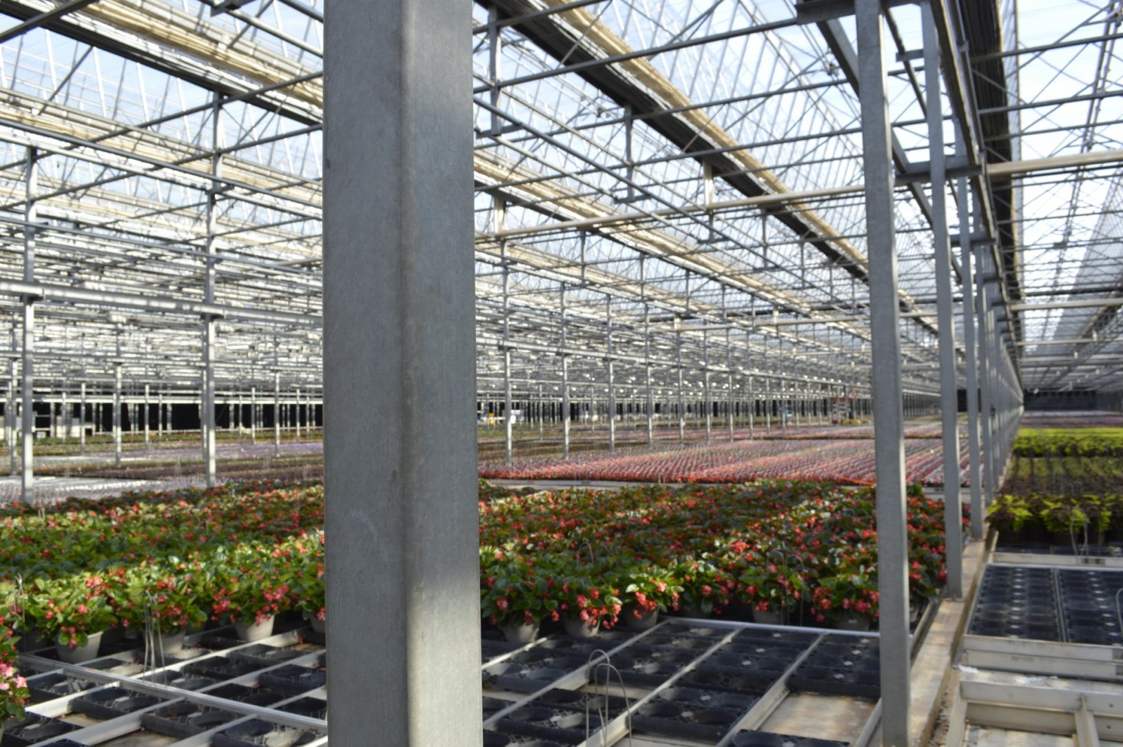 Metrolina Greenhouses American Galvanizers Association