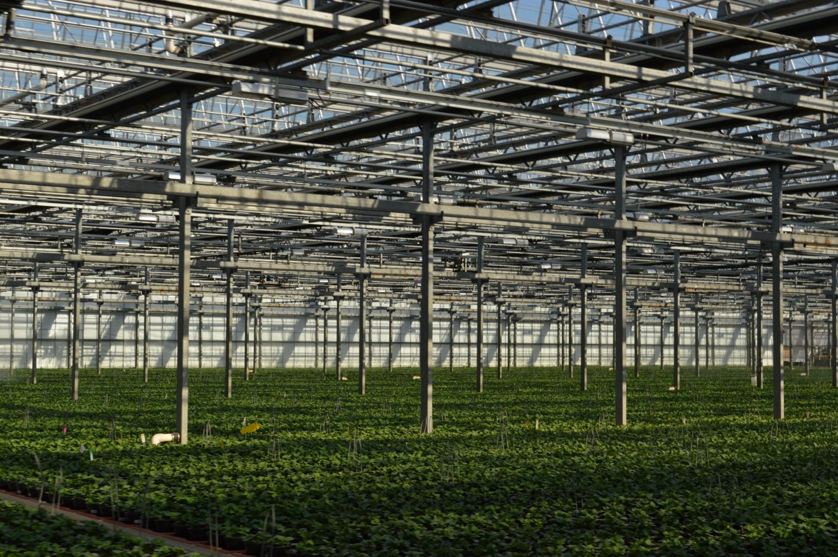 Metrolina Greenhouses American Galvanizers Association