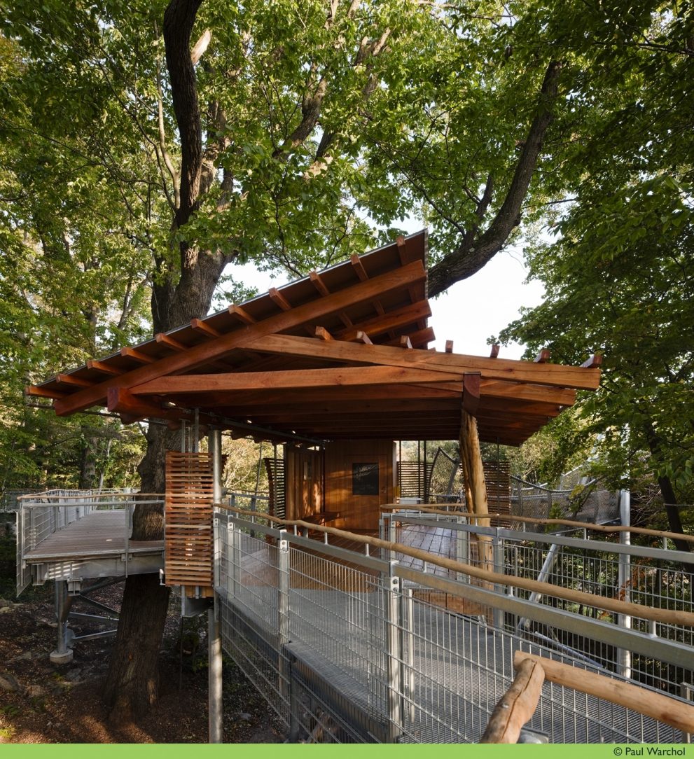 Morris Arboretum "Out on a Limb… American Galvanizers Association